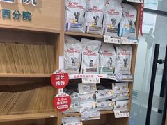 -瑞派长江宠物医院·猫科·外科·24小时夜护(谊城公寓分院)