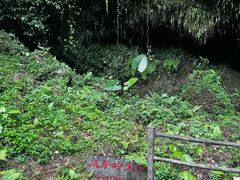-海口火山口国家地质公园