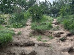 -南翠屏公园