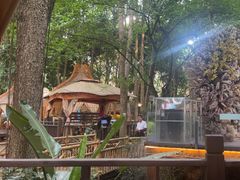 -二荆条·蜀鲜汇城市森林火锅