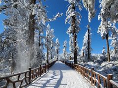 -瓦屋山景区