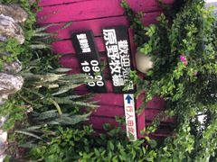 iphone_upload_pic-原野牧场