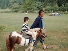 -武陵山森林公园