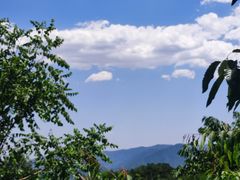 -阳台山自然风景区