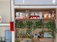 -凯瑞希宠物医院·狂犬免疫·微创·皮肤科