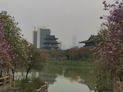 -海珠湖公园