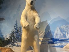 -陕西自然博物馆