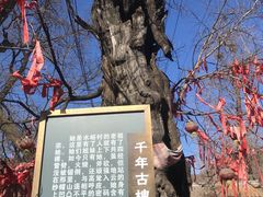 -水峪民俗村