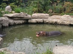 -上海野生动物园