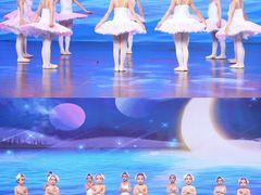 -星光舞蹈艺术中心•芭蕾舞•中国舞(太阳宫校区)