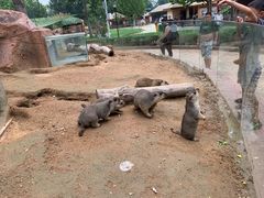 -北戴河集发农业梦想王国