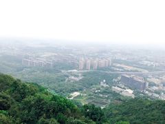 -杭州半山国家森林公园