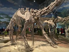 -自贡恐龙博物馆