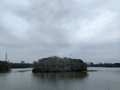-海珠湖公园