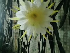 -九毛九西北菜(百信广场店)