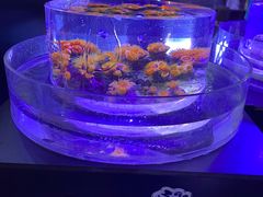 -海合安青岛极地海洋公园