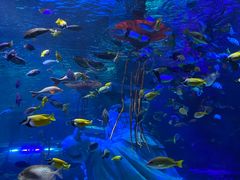 -沈阳海洋探索中心