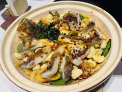 -滋粥楼·顺德菜(番禺广场总店)