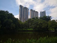 -广州珠江公园