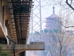 -永定河休闲森林公园