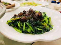 -同济大酒店(绿宝广场店)