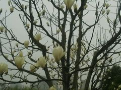 -白塘生态植物园