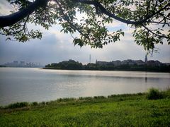 -九龙湖公园