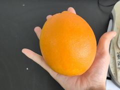 -龍歌自助小火锅(市南金茂湾店)