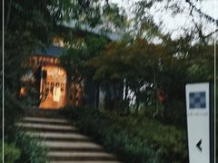-MAMACHA妈妈茶(岳麓山店)