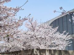-龙美术馆(西岸馆)