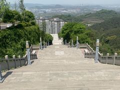 -铁山坪森林公园