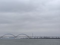 -八仔大富楼·河鲜(西江店)