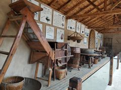 -千年银杏谷文化旅游区