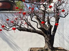 -龙华寺