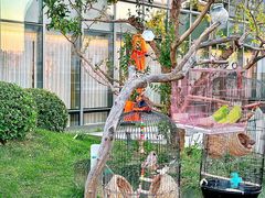 -悦融·京鲁菜·露台花园(安定门店)