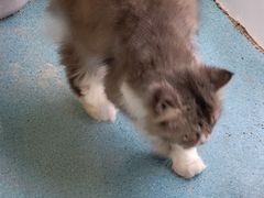 -沐沐家宠物(成寿寺店)