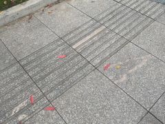-索拉古贝(义乌北苑店)