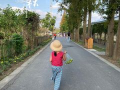 -前小桔亲子创意农场·草莓采摘·露营烧烤