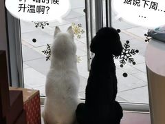-萌兽医馆·眼科·异宠专科(三里屯店)