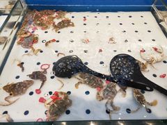 -川骄海鲜自助(河东店)