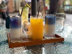 -柴犬高等学院·狗咖·柴犬售卖·宠物训练