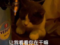 -城墙外BAR