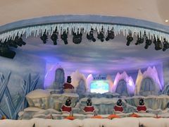 -帝企鹅自助餐厅•儿童岛•真企鹅(长隆企鹅酒店)