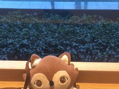 -集草轩·重庆麻辣烤鱼(西湖道店)