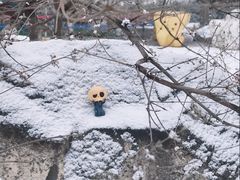 -大望京公园