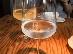 -毛辣果·酸(OHA复兴西路店)