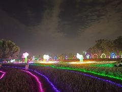 -花博汇(知音花月夜)