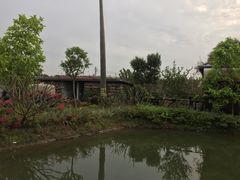 -花溪雨·森林餐厅(石基店)