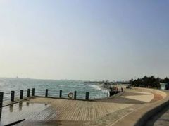 -渡海小渔村.老辈日照菜
