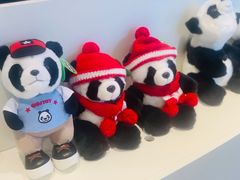-大连森林动物园熊猫馆纪念品商店